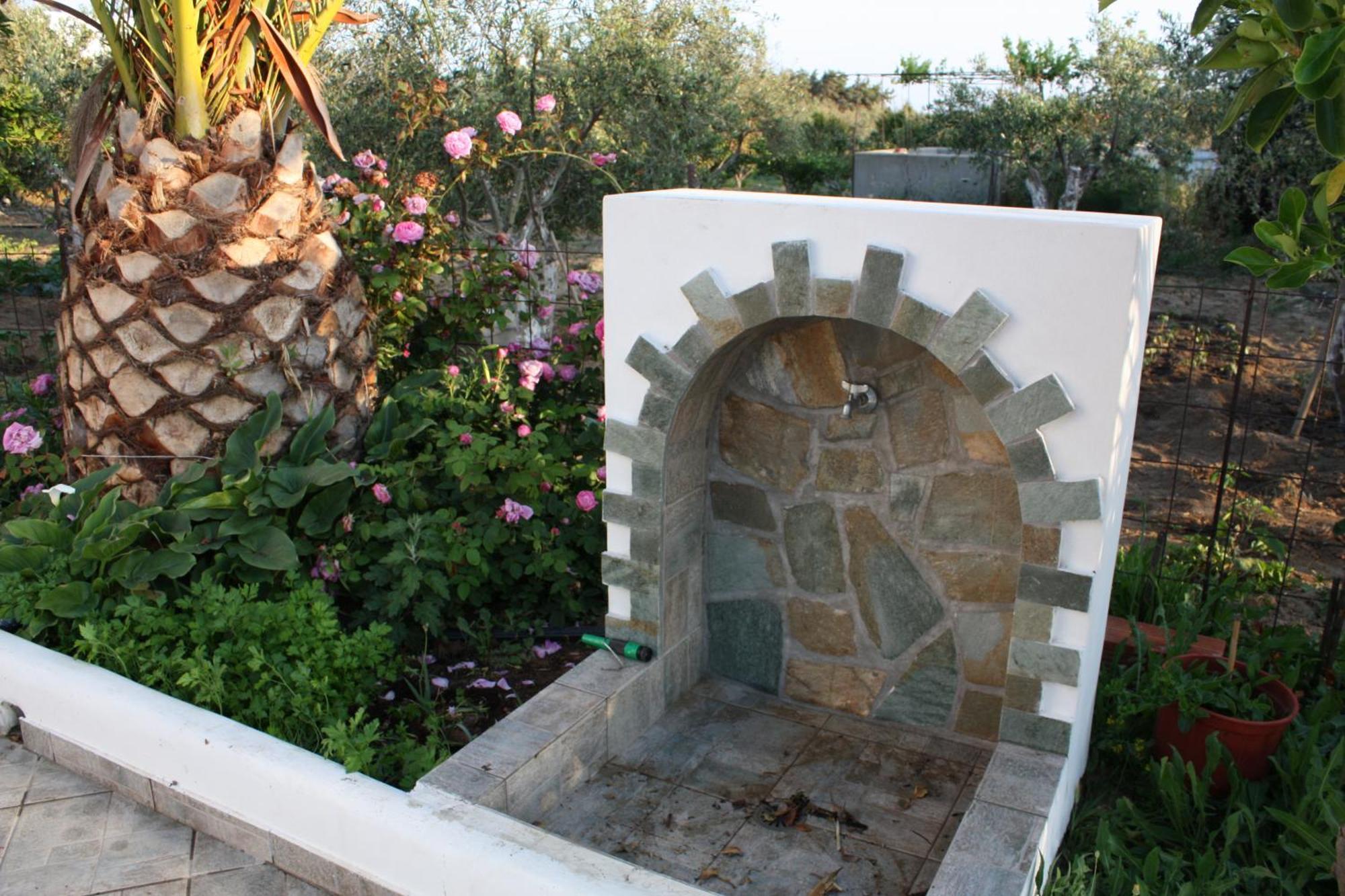 Mina'S Studios In Naxos Island Agios Prokopios  Bagian luar foto